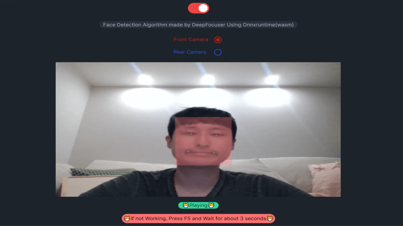 Face Detection Project with OnnxRuntime Web